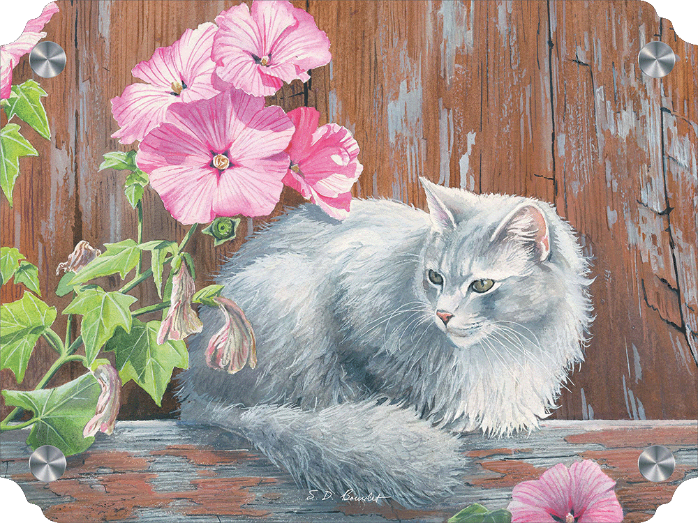 In the Pink Cat Acrylic Wall Art & Home Decor