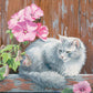 In the Pink Cat Acrylic Wall Art & Home Decor