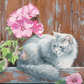 In the Pink Cat Acrylic Wall Art & Home Decor