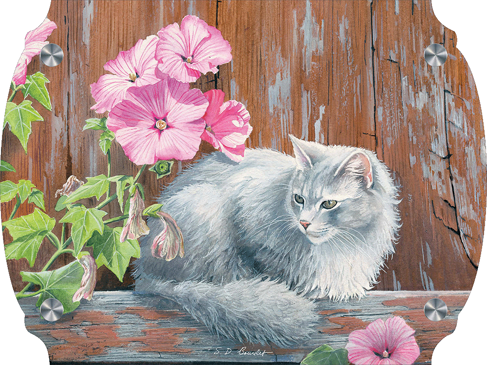 In the Pink Cat Acrylic Wall Art & Home Decor