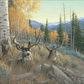 Indian Summer - Mule Deer Acrylic Wall Art & Home Decor