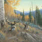 Indian Summer - Mule Deer Acrylic Wall Art & Home Decor