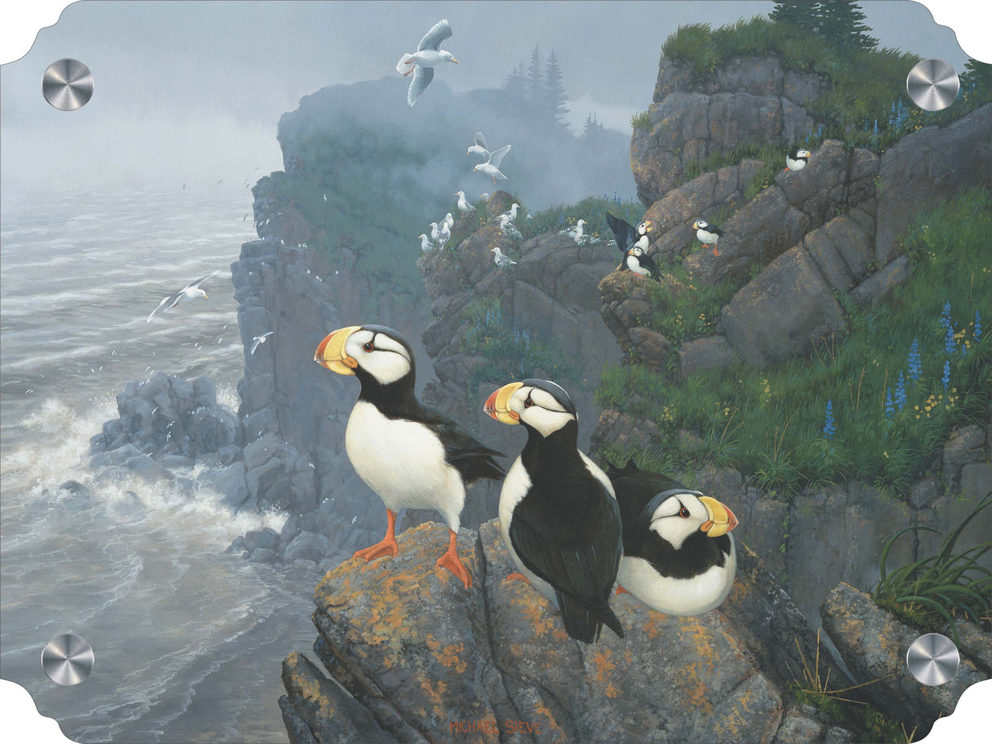 Kodiak Coast-Puffins Acrylic Wall Art & Home Decor