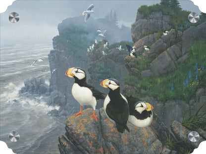 Kodiak Coast-Puffins Acrylic Wall Art & Home Decor