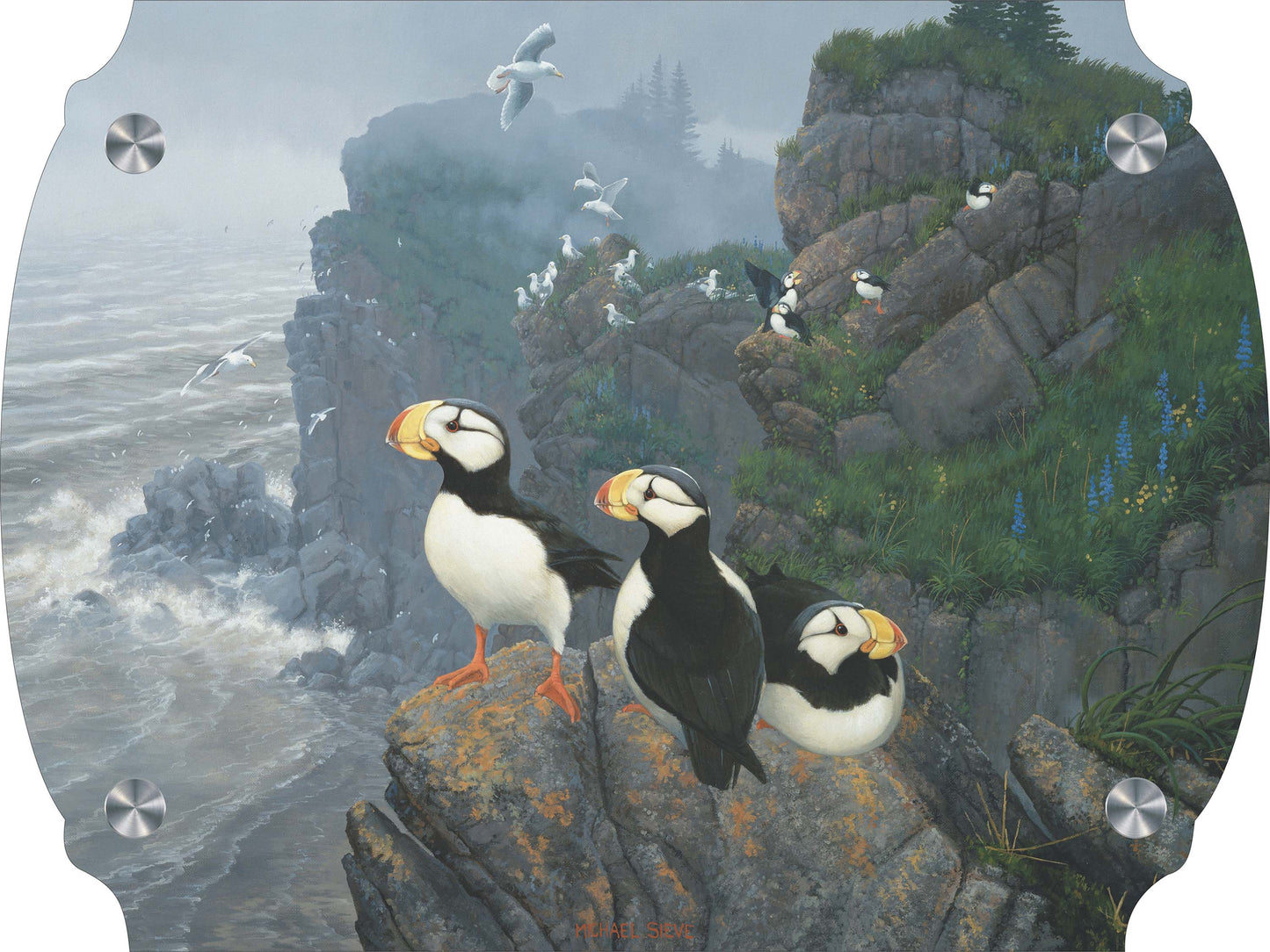 Kodiak Coast-Puffins Acrylic Wall Art & Home Decor