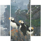 Kodiak Coast-Puffins Acrylic Wall Art & Home Decor