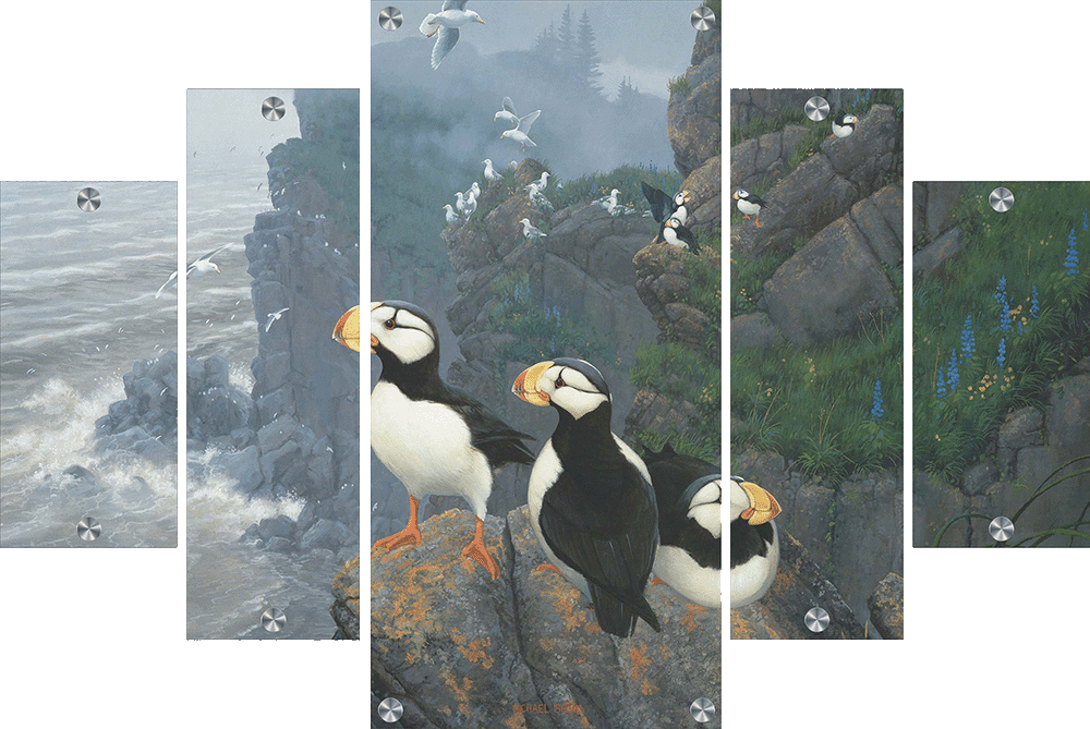 Kodiak Coast-Puffins Acrylic Wall Art & Home Decor
