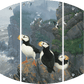 Kodiak Coast-Puffins Acrylic Wall Art & Home Decor