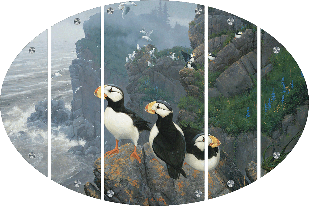 Kodiak Coast-Puffins Acrylic Wall Art & Home Decor