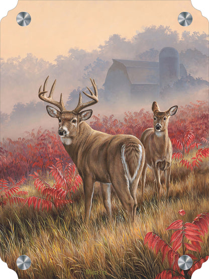 Lifting Fog - Whitetail Deer Acrylic Wall Art & Home Decor