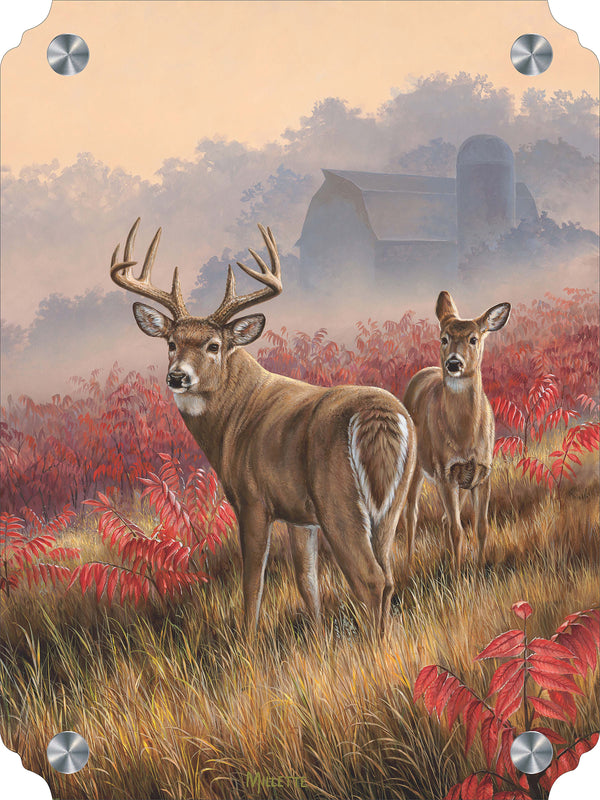 Lifting Fog - Whitetail Deer Acrylic Wall Art & Home Decor