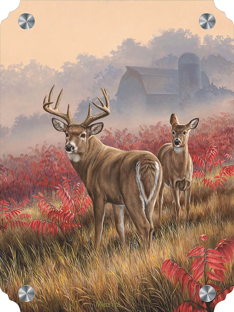 Lifting Fog - Whitetail Deer Acrylic Wall Art & Home Decor