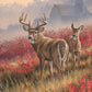 Lifting Fog - Whitetail Deer Acrylic Wall Art & Home Decor