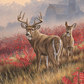 Lifting Fog - Whitetail Deer Acrylic Wall Art & Home Decor