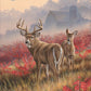Lifting Fog - Whitetail Deer Acrylic Wall Art & Home Decor