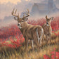 Lifting Fog - Whitetail Deer Acrylic Wall Art & Home Decor