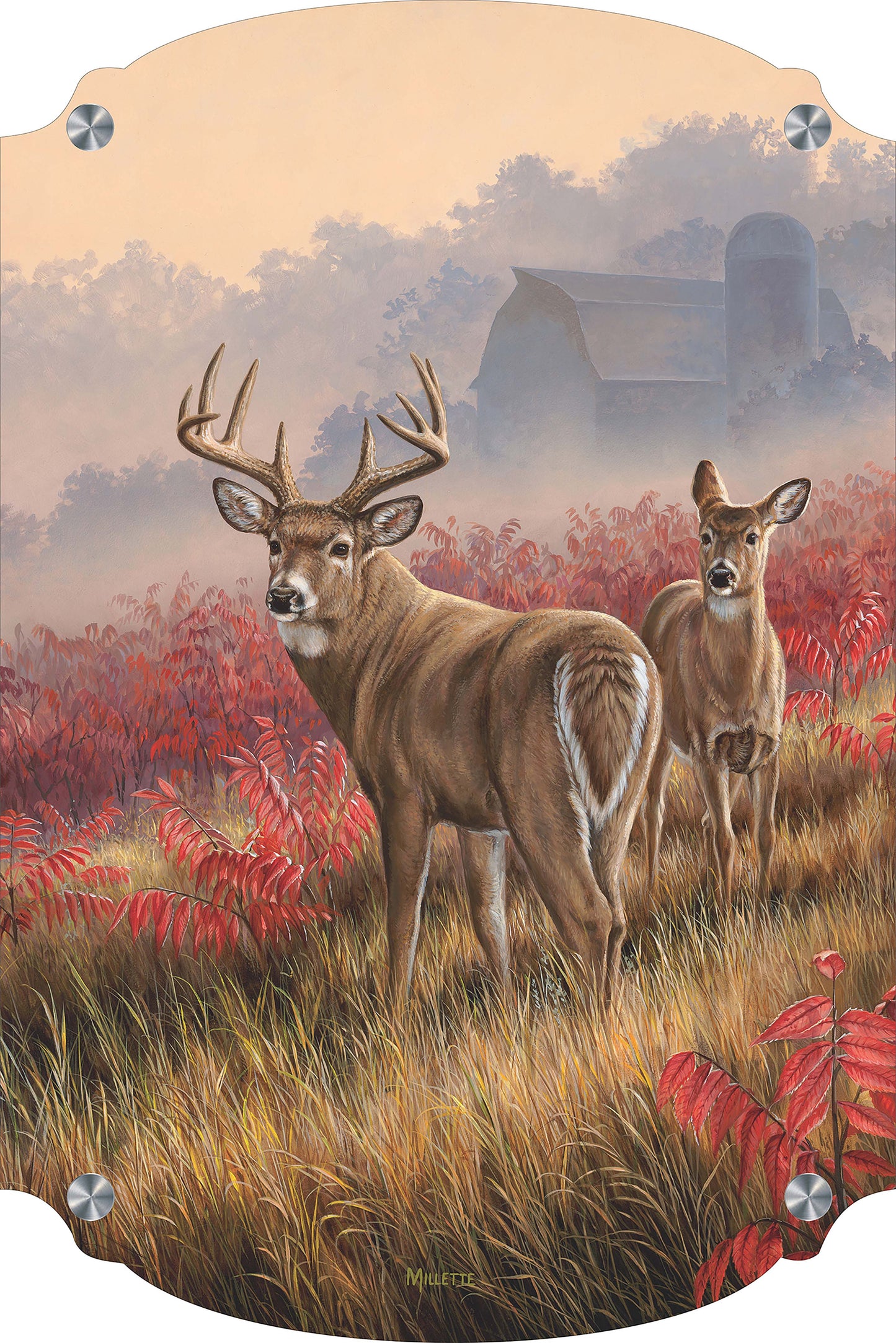 Lifting Fog - Whitetail Deer Acrylic Wall Art & Home Decor