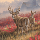 Lifting Fog - Whitetail Deer Acrylic Wall Art & Home Decor