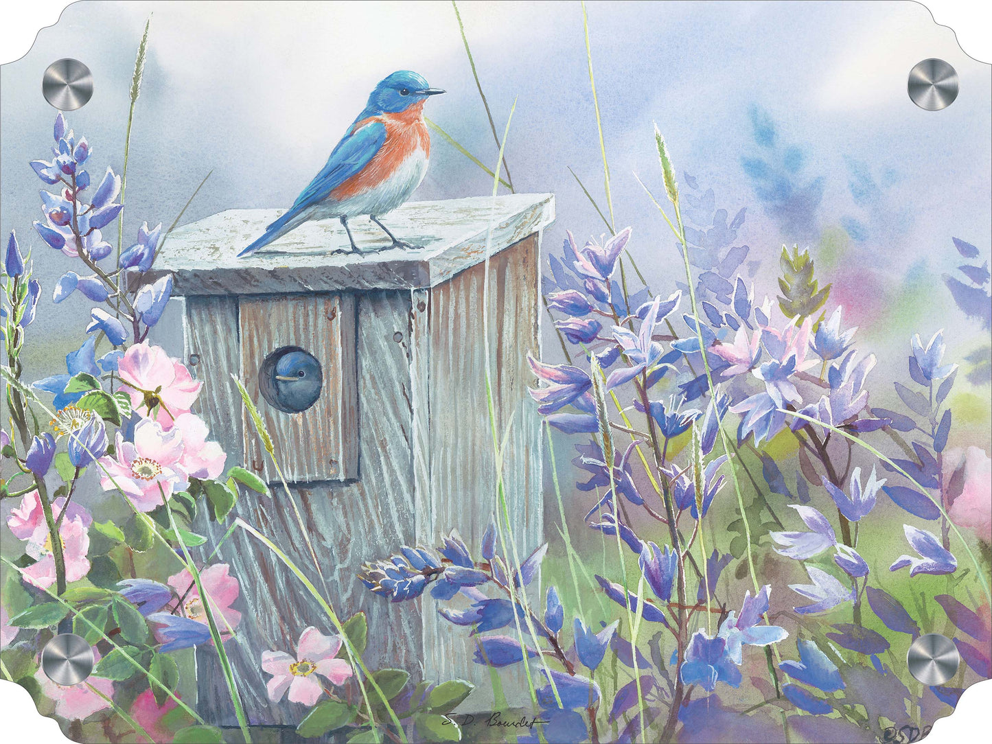 Meadow View - Eastern Bluebird Acrylic Wall Art & Home Decor