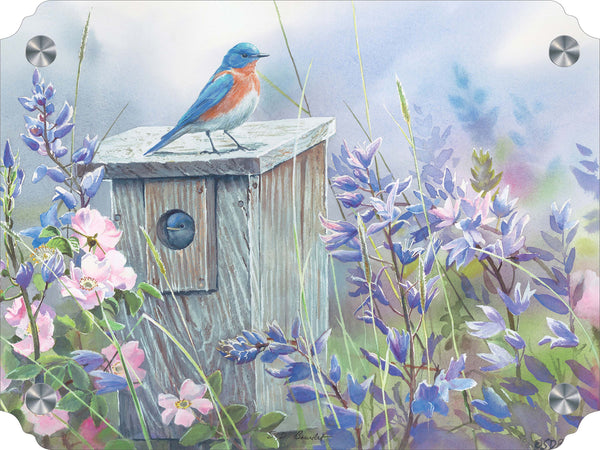 Meadow View - Eastern Bluebird Acrylic Wall Art & Home Decor