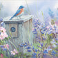 Meadow View - Eastern Bluebird Acrylic Wall Art & Home Decor