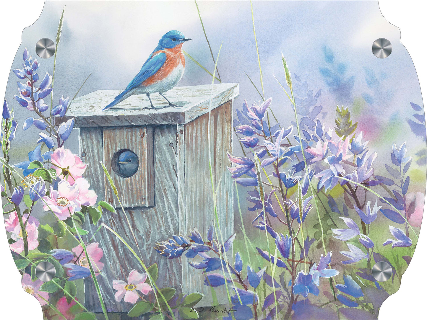 Meadow View - Eastern Bluebird Acrylic Wall Art & Home Decor