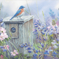 Meadow View - Eastern Bluebird Acrylic Wall Art & Home Decor
