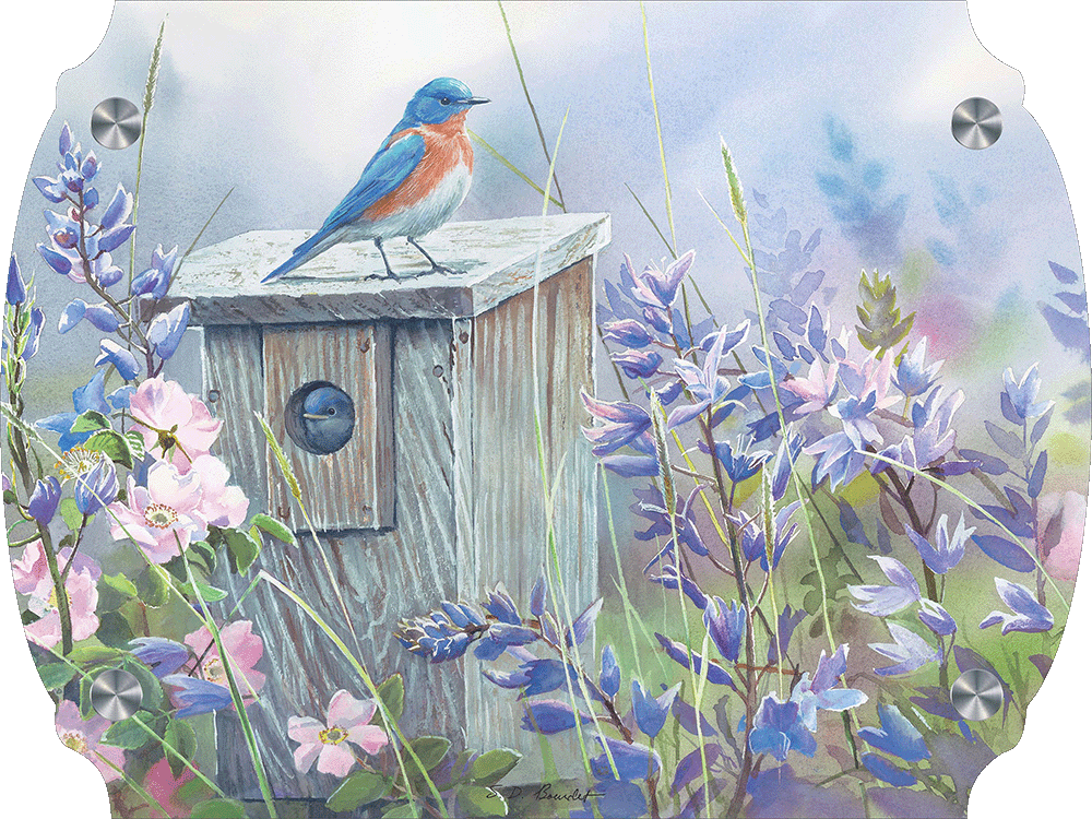 Meadow View - Eastern Bluebird Acrylic Wall Art & Home Decor