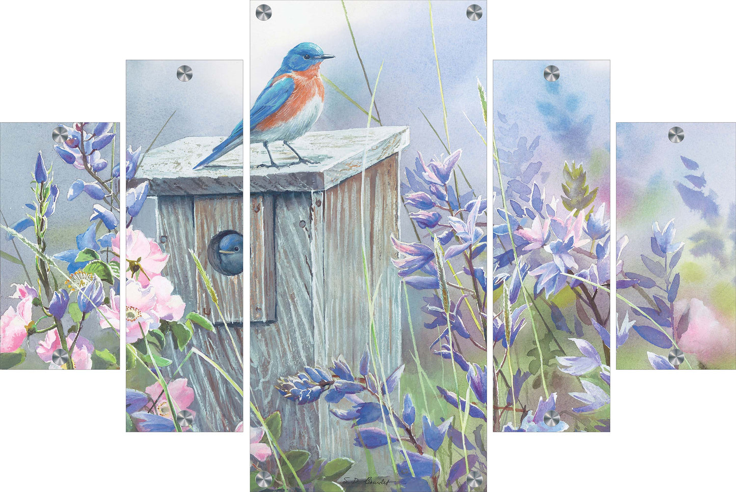 Meadow View - Eastern Bluebird Acrylic Wall Art & Home Decor