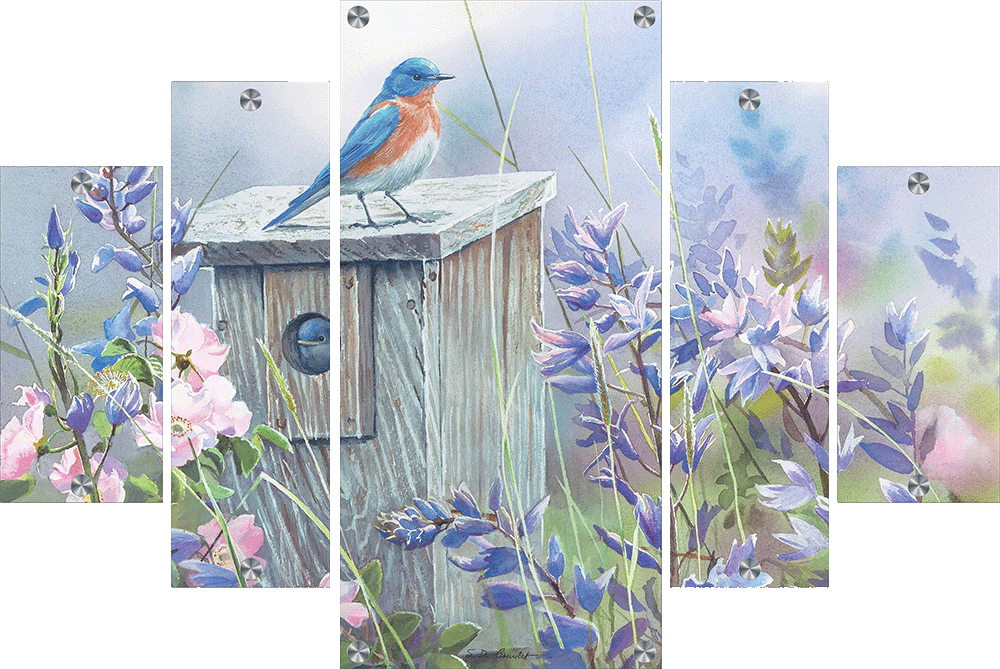 Meadow View - Eastern Bluebird Acrylic Wall Art & Home Decor