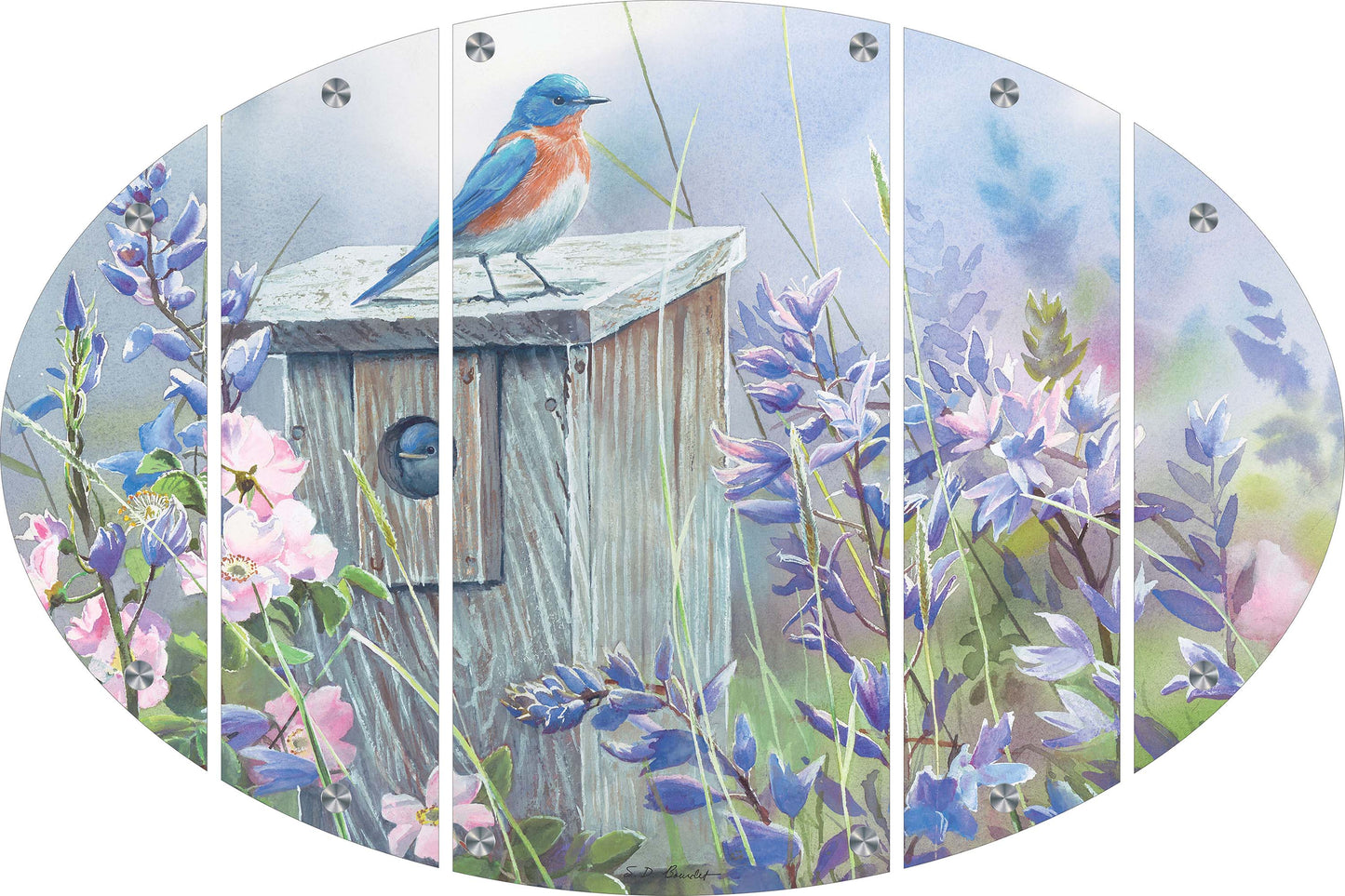 Meadow View - Eastern Bluebird Acrylic Wall Art & Home Decor