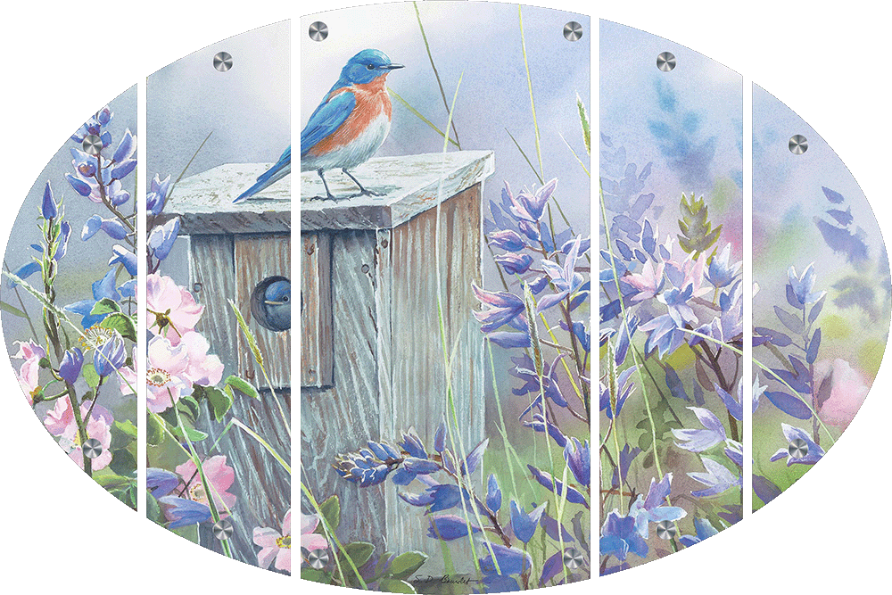 Meadow View - Eastern Bluebird Acrylic Wall Art & Home Decor