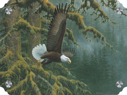 Misty Forest - Bald Eagle Acrylic Wall Art & Home Decor