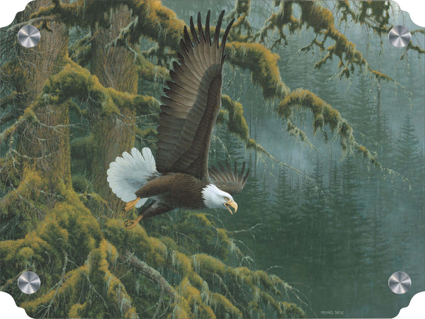 Misty Forest - Bald Eagle Acrylic Wall Art & Home Decor