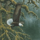 Misty Forest - Bald Eagle Acrylic Wall Art & Home Decor