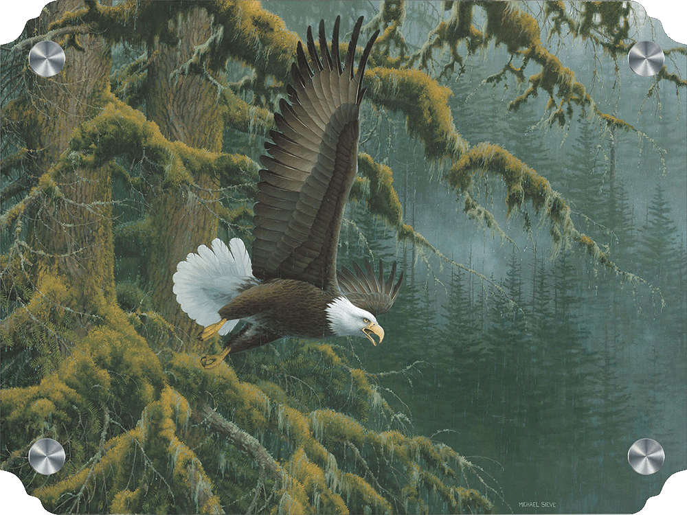 Misty Forest - Bald Eagle Acrylic Wall Art & Home Decor