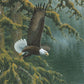 Misty Forest - Bald Eagle Acrylic Wall Art & Home Decor