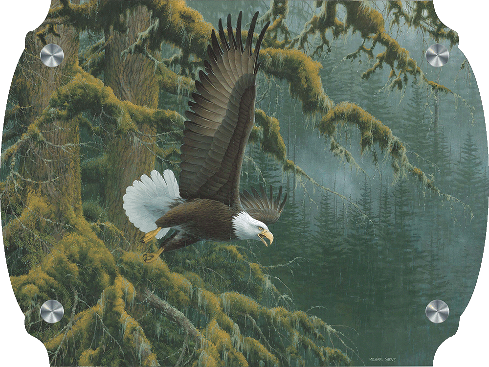 Misty Forest - Bald Eagle Acrylic Wall Art & Home Decor
