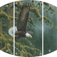 Misty Forest - Bald Eagle Acrylic Wall Art & Home Decor