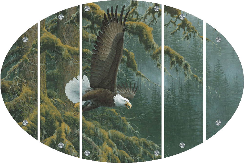 Misty Forest - Bald Eagle Acrylic Wall Art & Home Decor