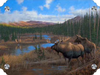 Moose Acrylic Wall Art & Home Decor