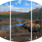 Moose Acrylic Wall Art & Home Decor