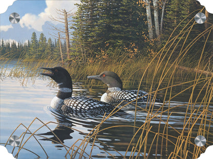 Northern Song Common Loons Acrylic Wall Art & Home Decor