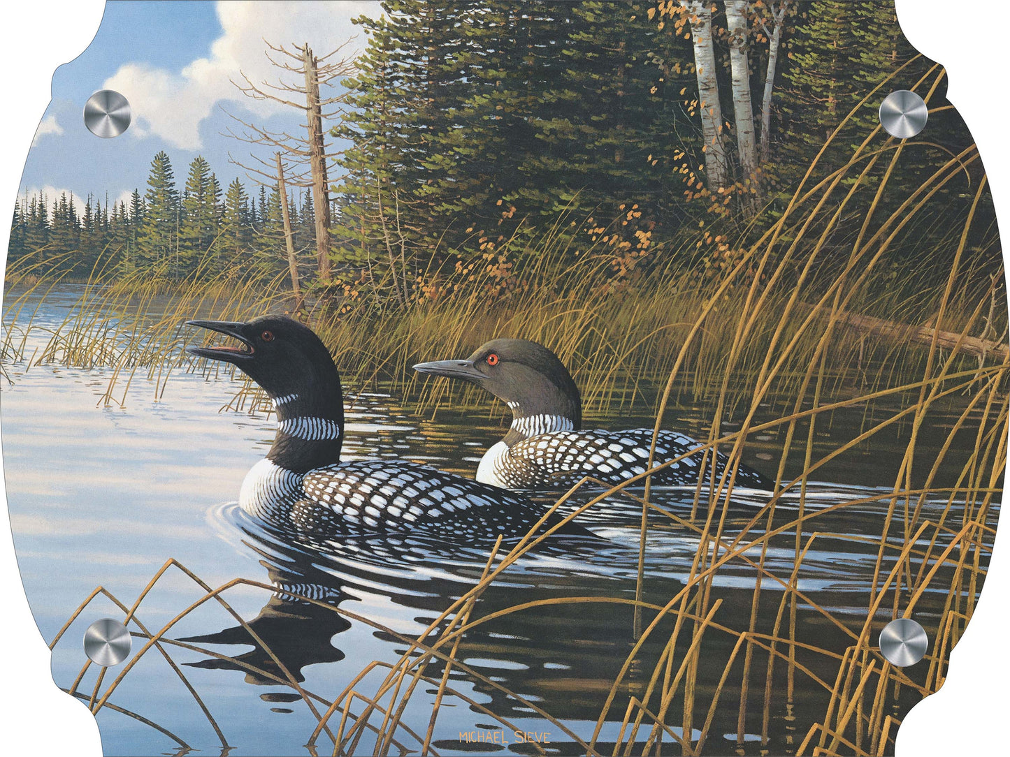 Northern Song Common Loons Acrylic Wall Art & Home Decor
