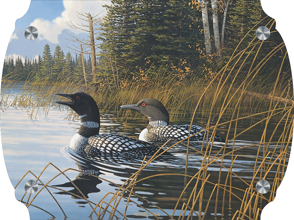 Northern Song Common Loons Acrylic Wall Art & Home Decor