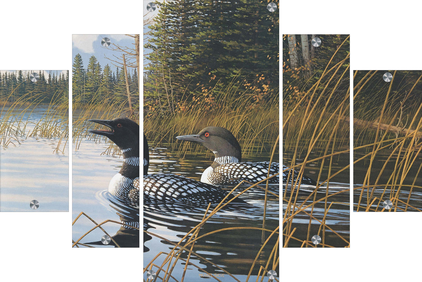 Northern Song Common Loons Acrylic Wall Art & Home Decor