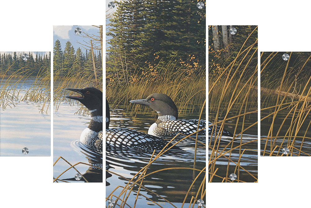 Northern Song Common Loons Acrylic Wall Art & Home Decor