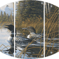 Northern Song Common Loons Acrylic Wall Art & Home Decor