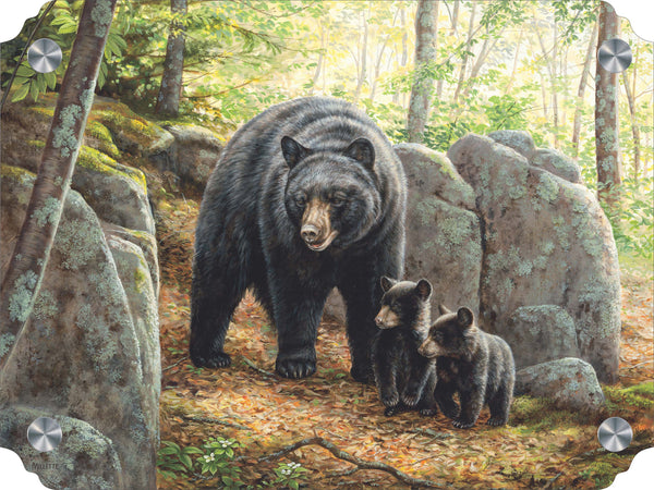 Northwoods Springtime - Black Bears Acrylic Wall Art & Home Decor
