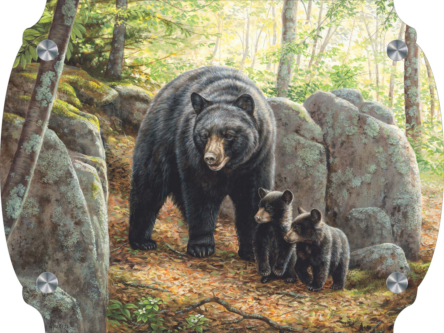 Northwoods Springtime - Black Bears Acrylic Wall Art & Home Decor